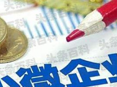 小微企業(yè)稅務(wù)申報(bào)流程