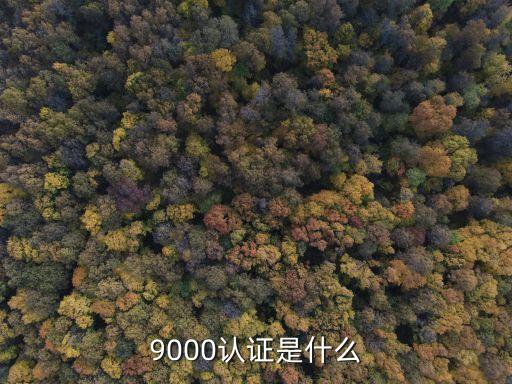 9000認(rèn)證是什么