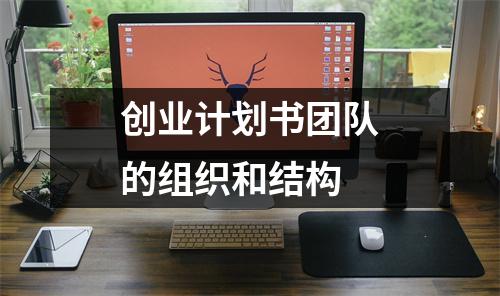 創(chuàng)業(yè)計劃書團隊的組織和結(jié)構(gòu)