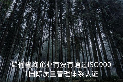 如何查詢(xún)企業(yè)有沒(méi)有通過(guò)ISO9001國(guó)際質(zhì)量管理體系認(rèn)證