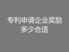 專利申請(qǐng)企業(yè)獎(jiǎng)勵(lì)多少合適