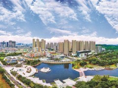 2024年深圳市知識產(chǎn)權(quán)領域?qū)ｍ椯Y金預告！