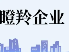 佛山瞪羚企業(yè)認定條件、扶持政策最高補貼100萬