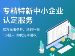 上海專精特新企業(yè)優(yōu)惠政策(專精特新企業(yè)申報方式)