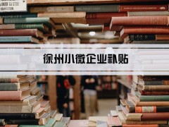 2024年徐州小微企業(yè)補貼和免稅優(yōu)惠政策及小微企業(yè)認(rèn)定標(biāo)準(zhǔn)