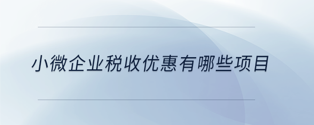 小微企業(yè)稅收優(yōu)惠有哪些項(xiàng)目